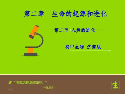 《人类的进化》课件PPT课件