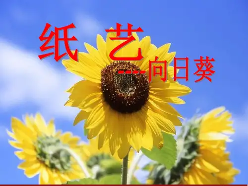 纸艺——向日葵精品PPT课件