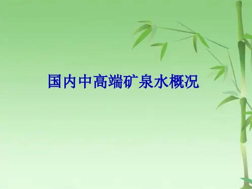 国内中高端矿泉水(共33张PPT)