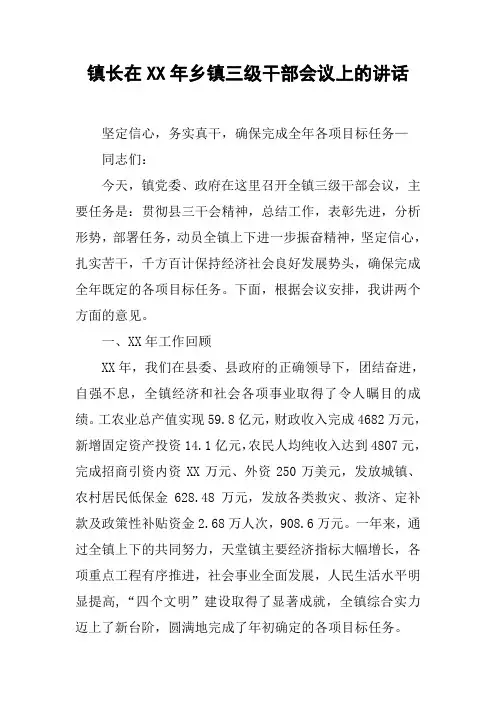 镇长在XX年乡镇三级干部会议上的讲话