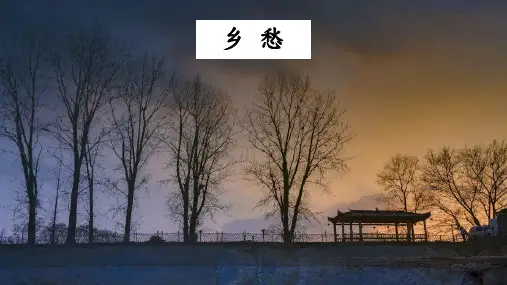 九年级上语文《乡愁》优秀PPT课件16