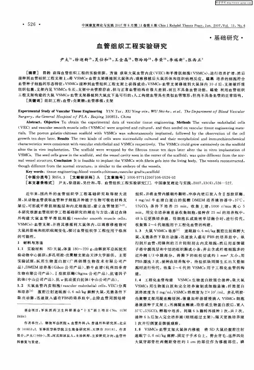 血管组织工程实验研究