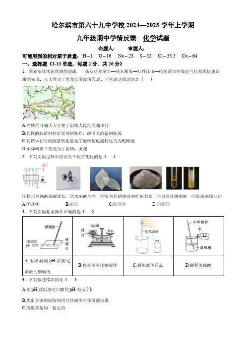 黑龙江省哈尔滨市第六十九中学2024-2025学年九年级上学期期中学情反馈化学试题(含答案)