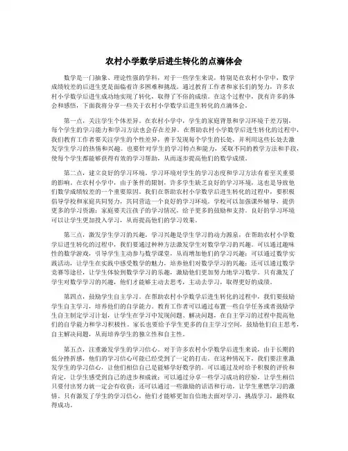 农村小学数学后进生转化的点滴体会