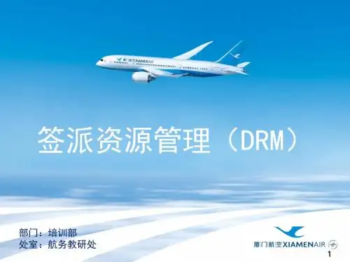 签派资源管理(DRM)H10110