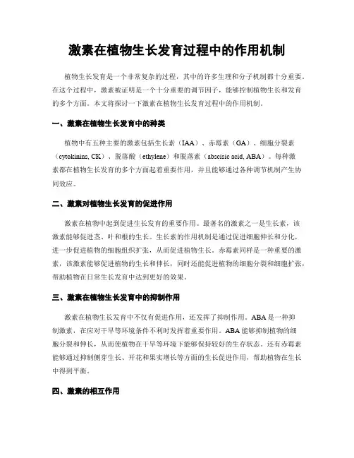 激素在植物生长发育过程中的作用机制