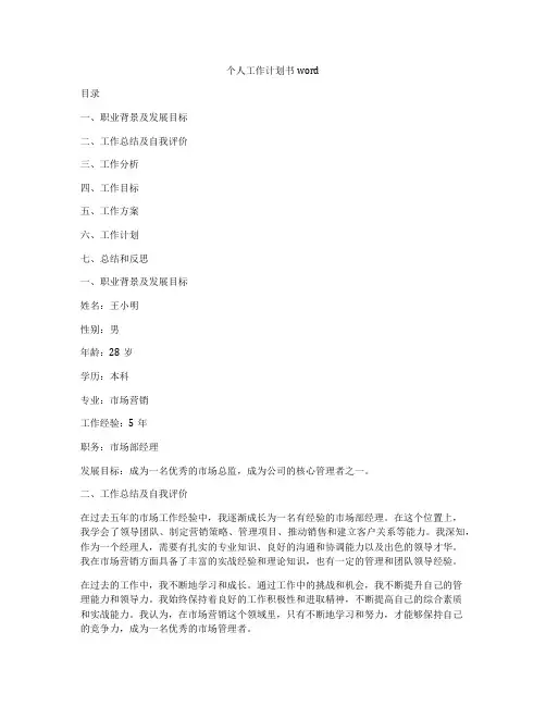 个人工作计划书word