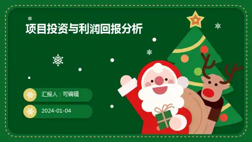 项目投资与利润回报分析