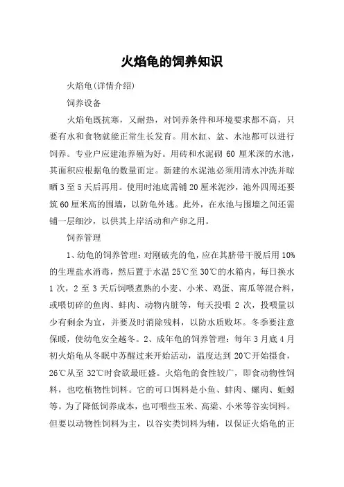 火焰龟的饲养知识