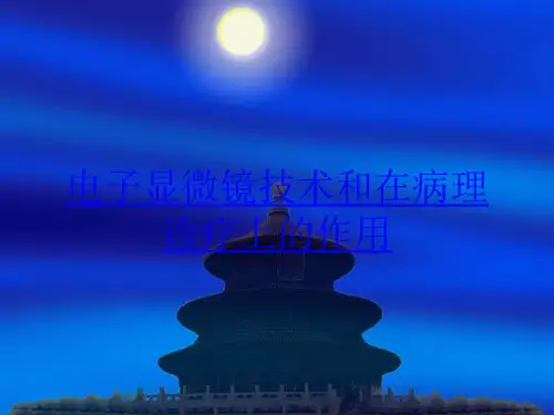 电子显微镜技术和在病理诊疗上的作用培训课件