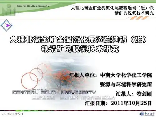 大理北衙金矿全泥氰化尾渣磁选褐(磁)铁精矿的脱氰技术研究-汇报材料1