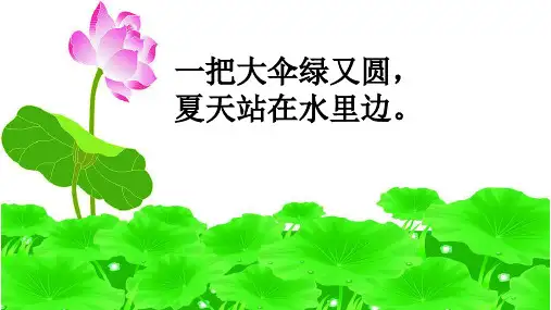 部编版一年级下册课文13《荷叶圆圆》课件