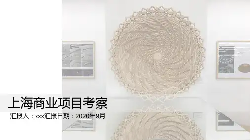 上海商业考察报告 