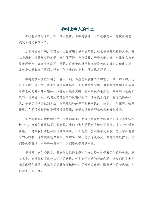 柳树比喻人的作文