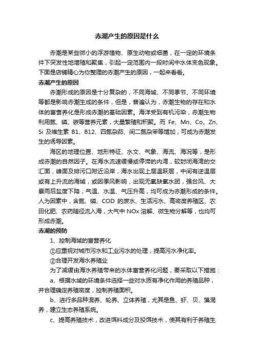 赤潮产生的原因是什么