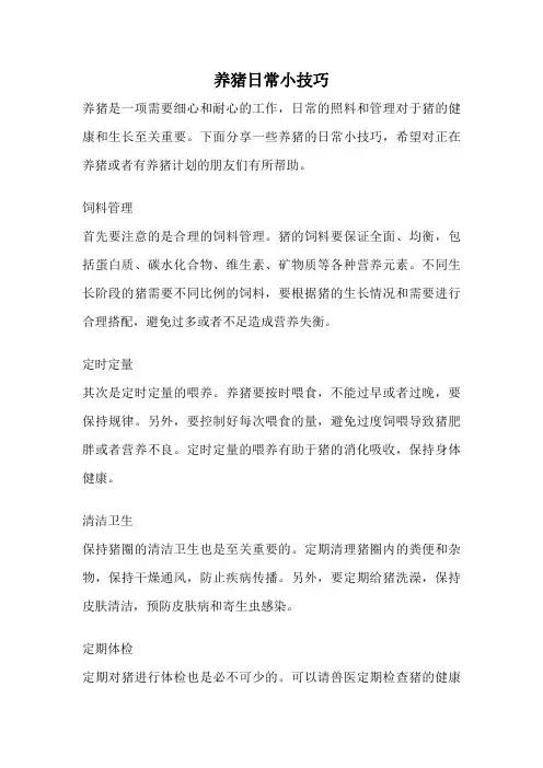 养猪日常小技巧