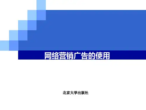 网络营销广告的使用PPT课件