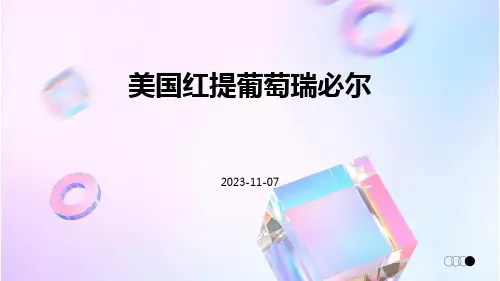 美国红提葡萄瑞必尔