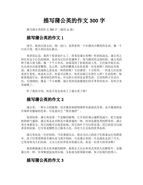 描写蒲公英的作文300字