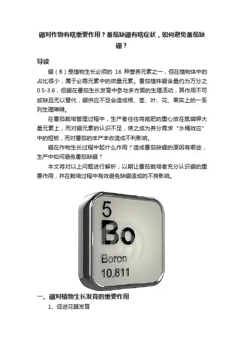 硼对作物有啥重要作用？番茄缺硼有啥症状，如何避免番茄缺硼？