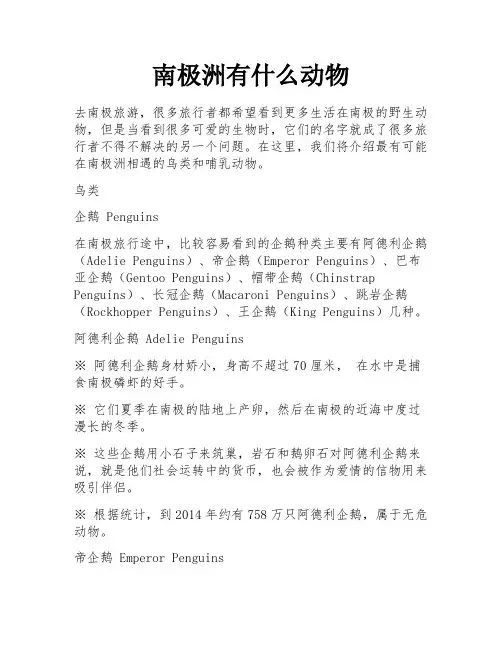 南极洲有什么动物