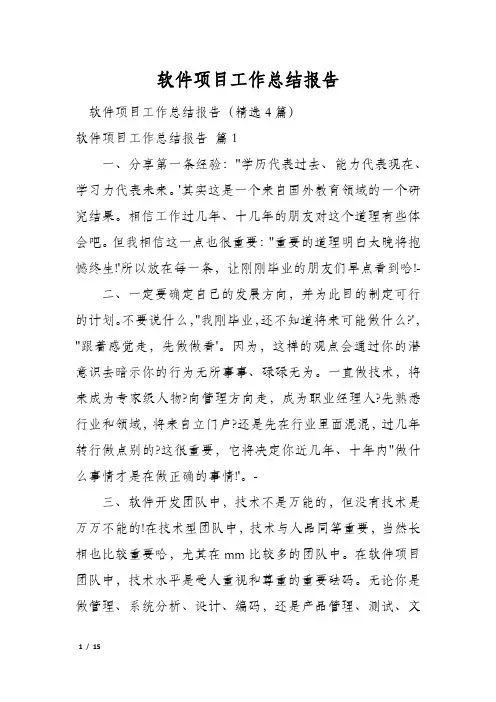 软件项目工作总结报告