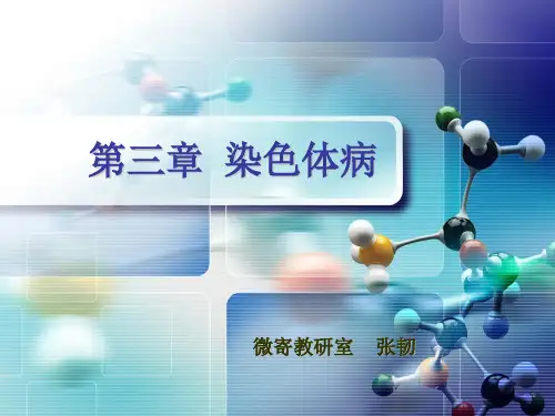 染色体病2