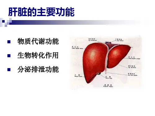 肝病的实验室检查PPT课件
