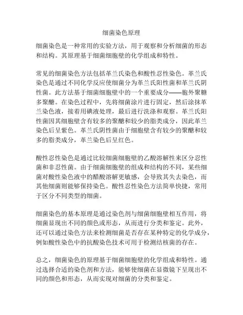 细菌染色原理