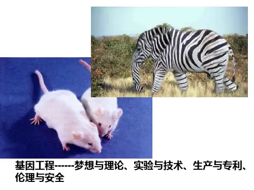 基因工程专题1-1ppt课件