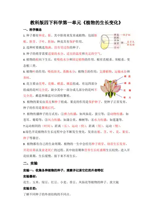 教科版小学科学四年级下册第一单元《植物的生长变化》知识点总结与实验