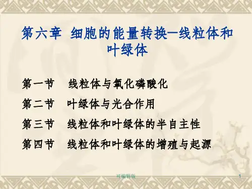 细胞的能量转换2
