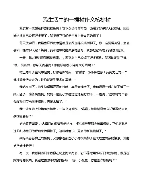 我生活中的一棵树作文核桃树