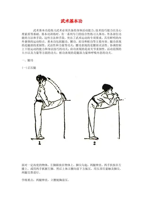 武术基本功图解(免费)