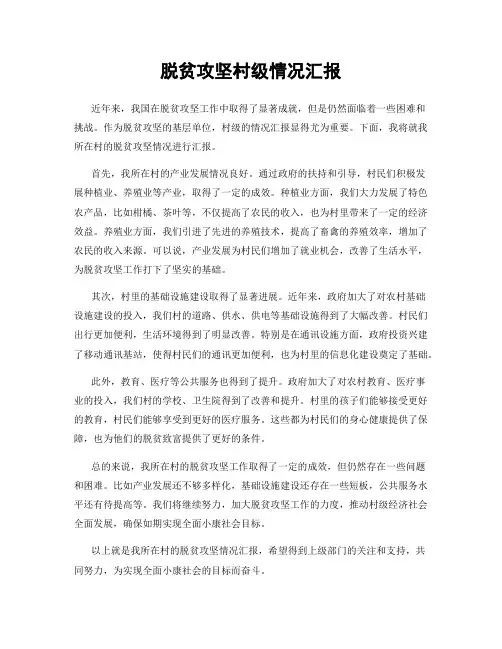 脱贫攻坚村级情况汇报