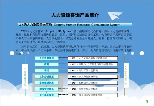 企业咨询-人力资源管理咨询方法和工具 精品