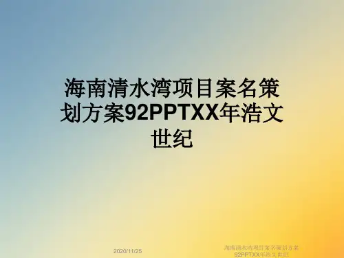 海南清水湾项目案名策划方案92PPTXX年浩文世纪