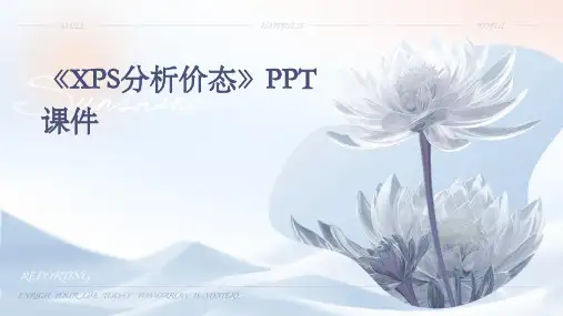 《XPS分析价态》课件