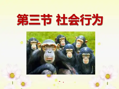 《社会行为》动物的运动和行为PPT课件8