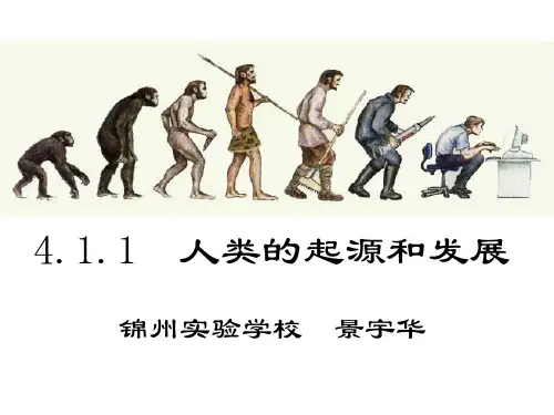 对比观察四种现代类人猿和人类起源与发展的示意图