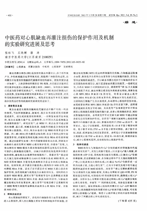 中医药对心肌缺血再灌注损伤的保护作用及机制的实验研究进展及思考