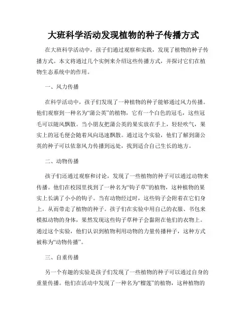 大班科学活动发现植物的种子传播方式