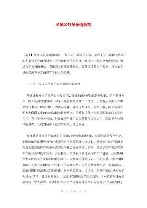 乡镇公务员感悟随笔