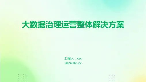 大数据治理运营整体解决方案