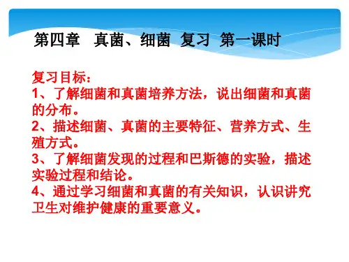 人教版八年级生物上册 第五单元  第四章 细菌和真菌 复习课件(共26张PPT)