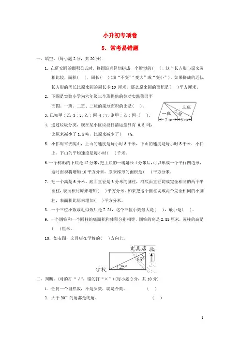 2022六年级数学下册小升初专项卷5常考易错题青岛版六三制