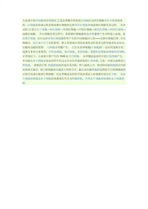 血细胞的形成过程