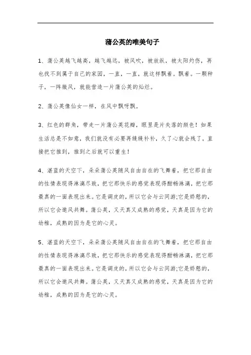 蒲公英的唯美句子