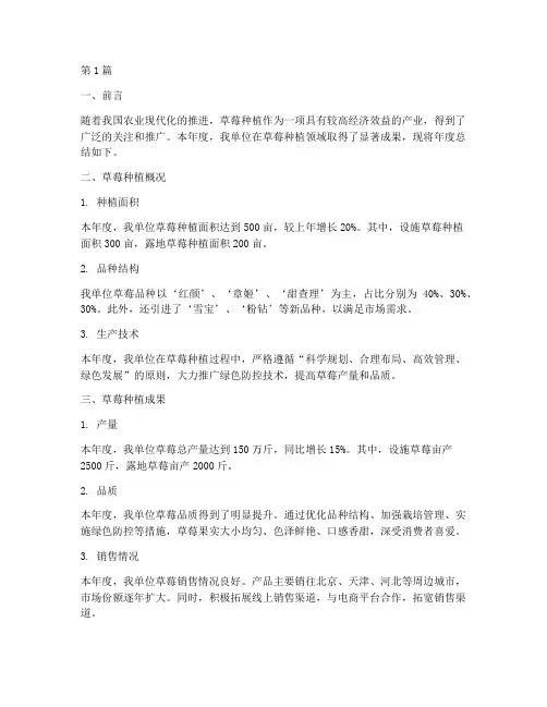 草莓种植年度总结范文(3篇)