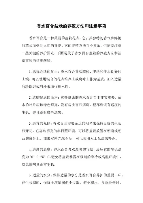 香水百合盆栽的养殖方法和注意事项